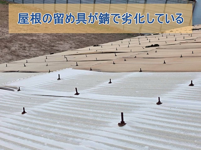 屋根の留め具が錆で劣化している